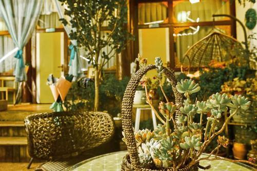 Hostal Riverside Villa