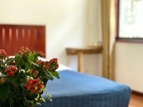 Mountain Hostel