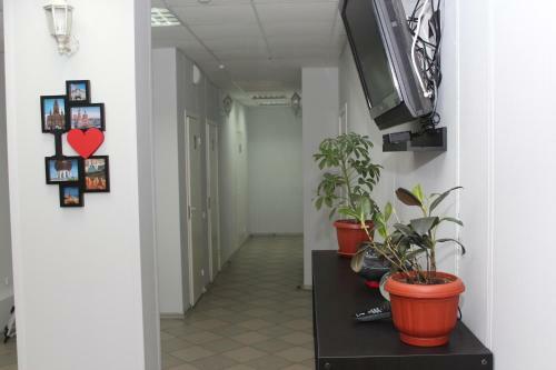 Hostel Kremlin
