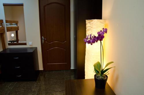 Wings Hostel