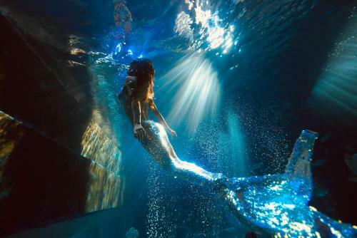 Hotel Big White Whale Ocean Exploration World