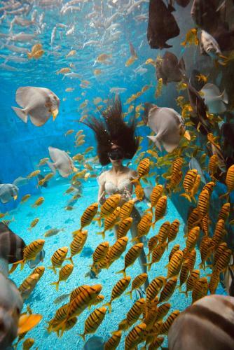 Hotel Big White Whale Ocean Exploration World