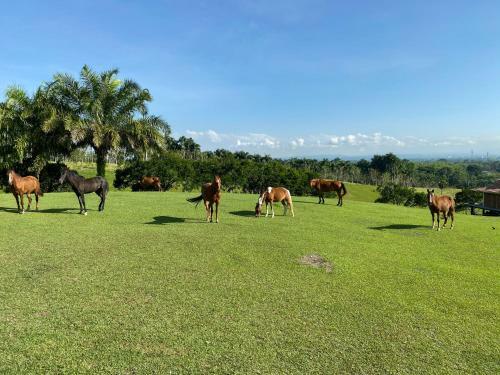 Hotel Rancho Eden