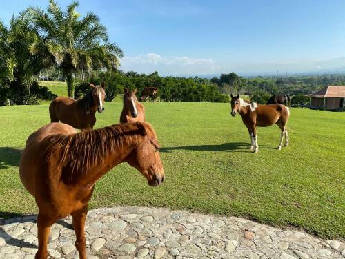 Hotel Rancho Eden