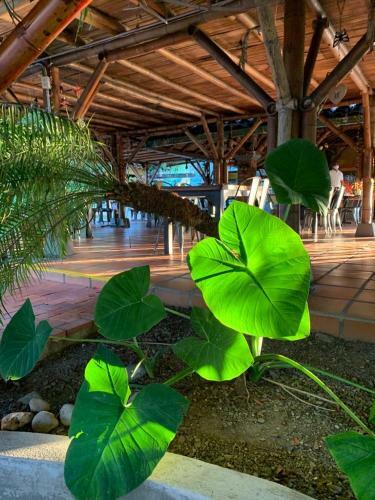 Hotel Rancho Eden