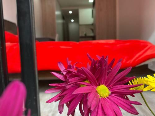 Apartamento Smart54 Chapinero By Marca Pasos
