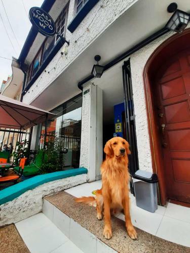 Bed & Breakfast Casa Mood Usaquen