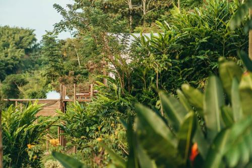 Glamping Entre Rios