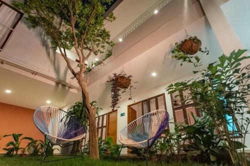 Bed & Breakfast Hotel Casa Madre