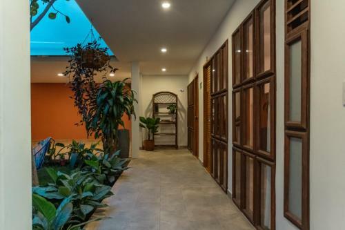 Bed & Breakfast Hotel Casa Madre