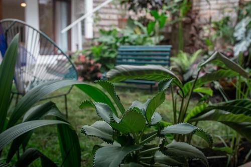Bed & Breakfast Hotel Casa Madre