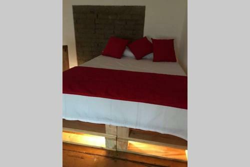 Apartamento Red Parrot San Antonio