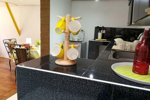 Apartamento Yelow Parrot San Antonio