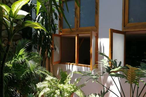 Apartamento Yelow Parrot San Antonio
