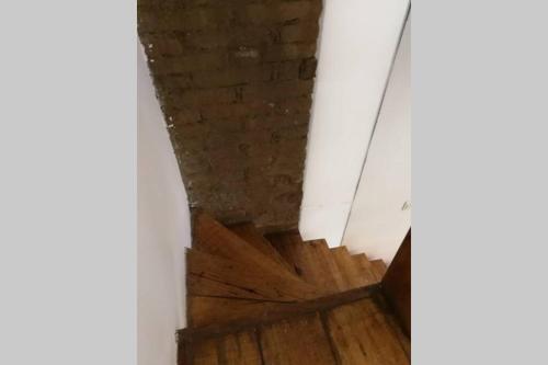 Apartamento Yelow Parrot San Antonio