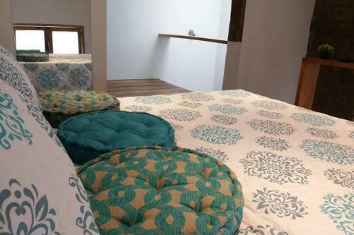 Apartamento Yelow Parrot San Antonio