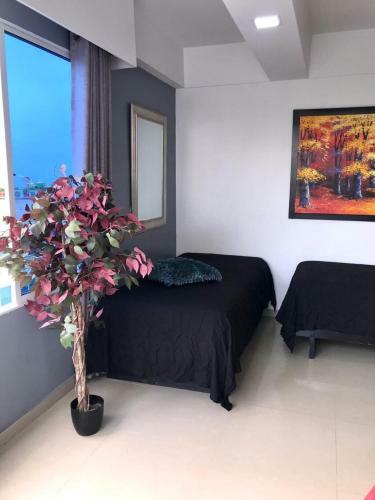 Apartamentos Cartagena Caribe Suite