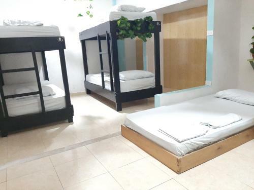 Albergue Hostal Pachamama Blue