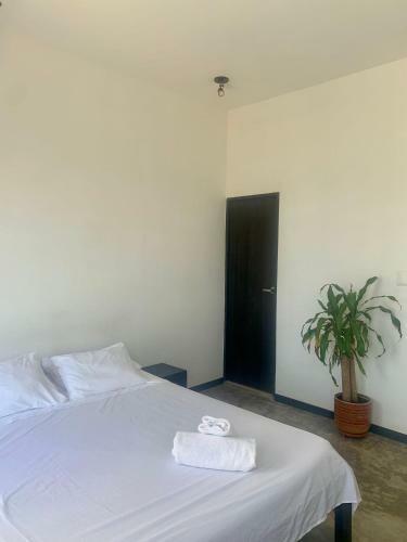 Albergue Zion Beach House