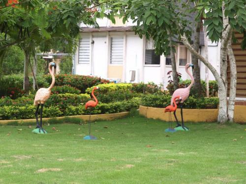 Hotel Cartagena Beach Bungalows