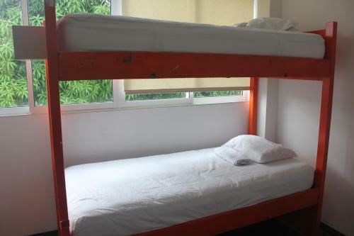Bike Dive Hostel