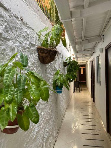 Casa San Juan