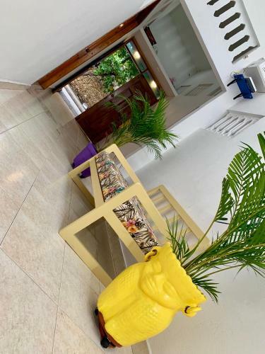 Pedregal Home