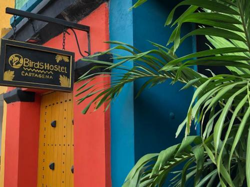 Hostal Birds Hostel