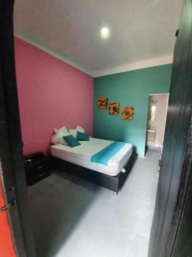 Hostal Birds Hostel