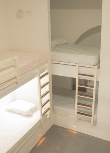 Hostal Birds Hostel