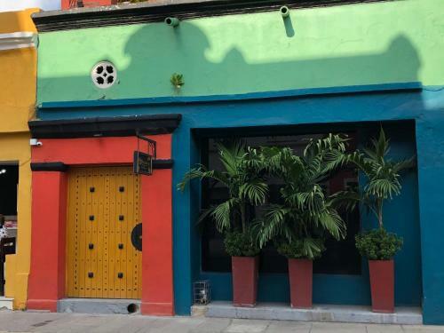 Hostal Birds Hostel