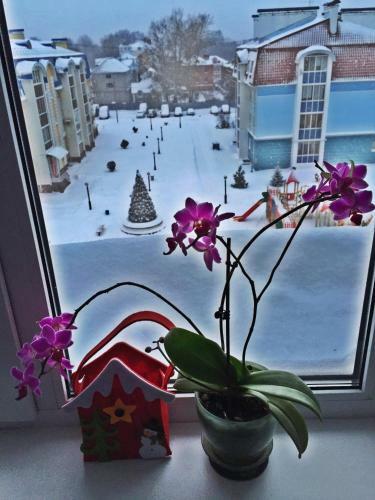 Voznesenskaya 48 Apartment