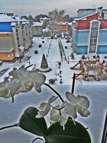 Voznesenskaya 48 Apartment