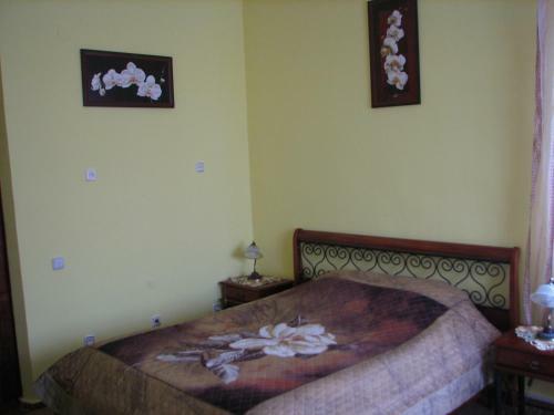 Hostal Happy Horse