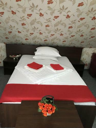 Hostal Pension La Viorel