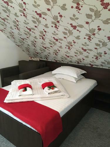 Hostal Pension La Viorel