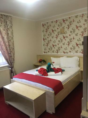 Hostal Pension La Viorel