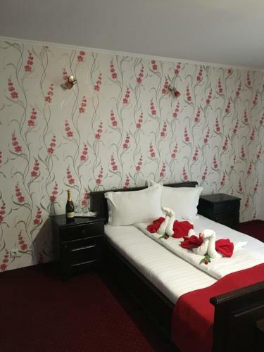 Hostal Pension La Viorel