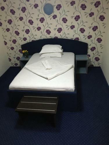 Hostal Pension La Viorel