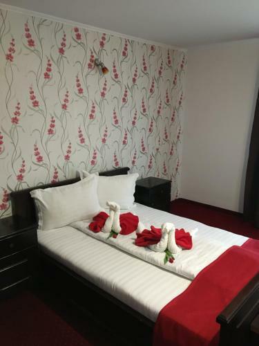Hostal Pension La Viorel