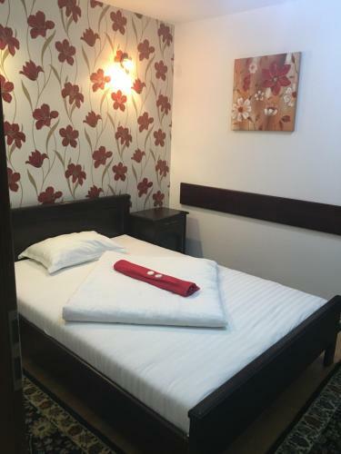 Hostal Pension La Viorel