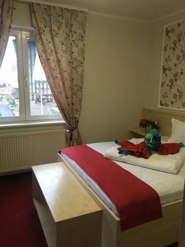Hostal Pension La Viorel