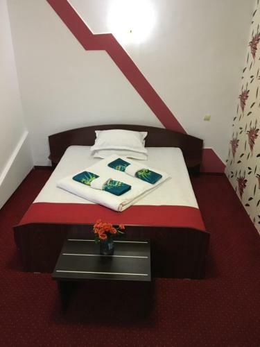 Hostal Pension La Viorel