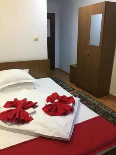 Hostal Pension La Viorel