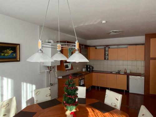 Hostal Pension Artemis