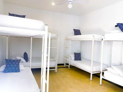 Antigua Hostel