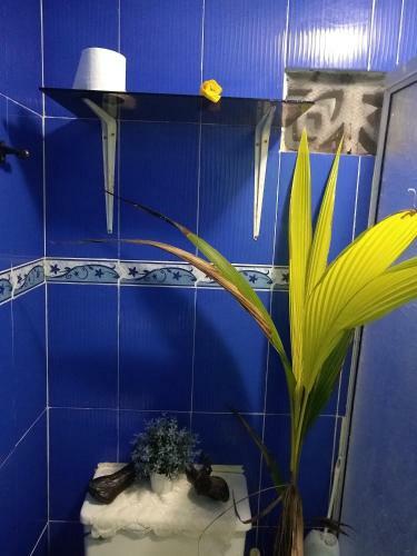 Hostal Posada Green Sea San Luis