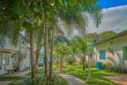 Apartaestudio Cove�itas 201