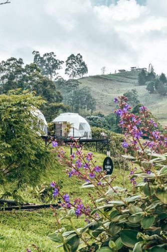 Ecohotel Monte Tierra Habitaciones Y Glamping