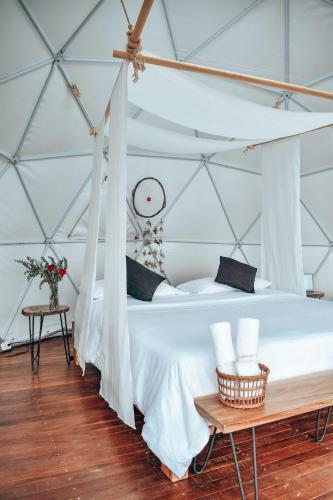Ecohotel Monte Tierra Habitaciones Y Glamping